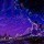 星空6qo的头像