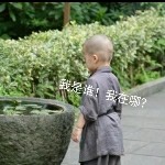 绝尘妖僧@