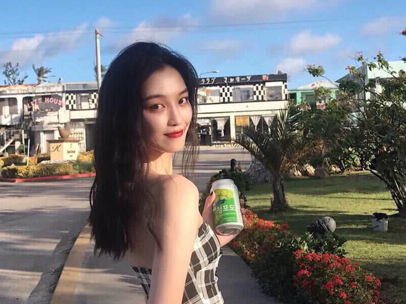 阳歌/歌🐳的主播海报