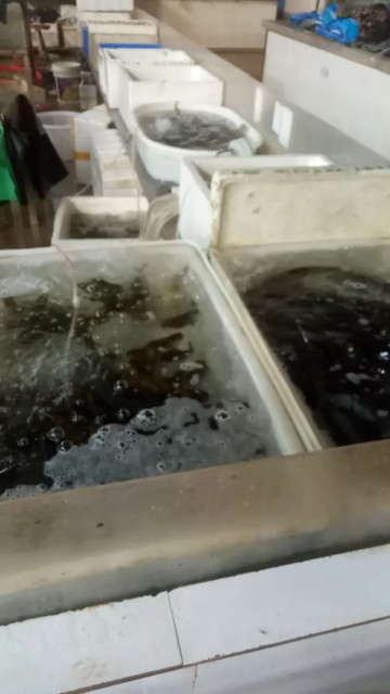 早晨的菜市场是一幅好看的画……