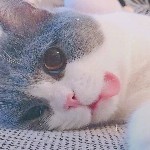 半城烟沙霜满天的头像