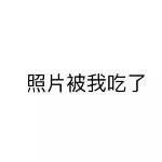大熊猫2008