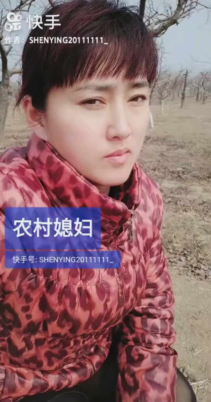 铁血丹心
