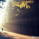 静訫r海报