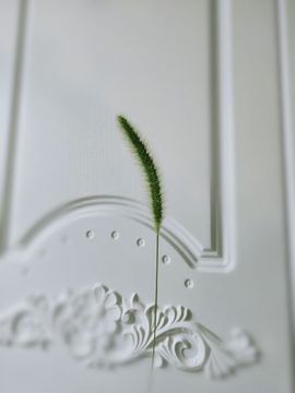 ღ瑋玮主播照片
