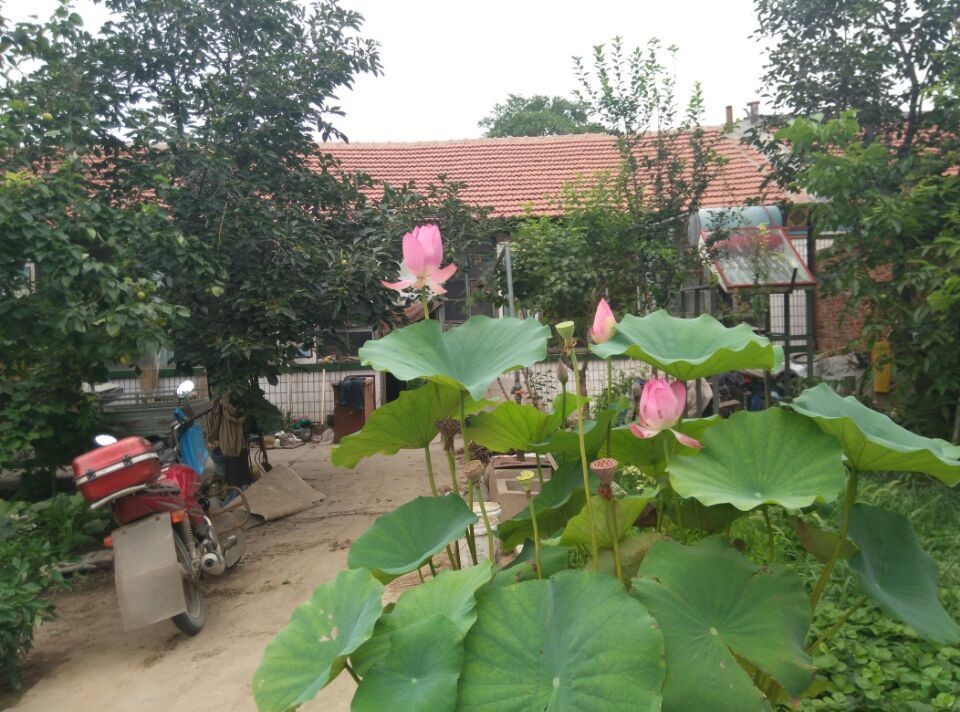【常爱国】的主播照片