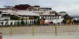 会飞的石头---哥主播照片