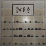 小马z2$主播照片