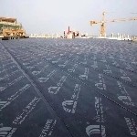 雁一高飞