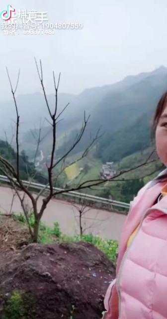 爱火
