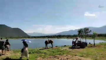 古道西风瘦马