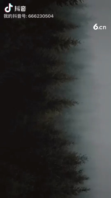 冒个泡