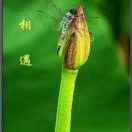 组合拳s的头像