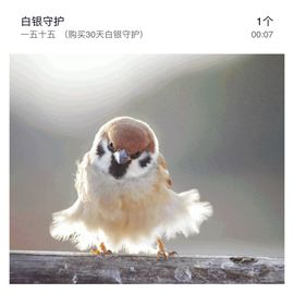 🎙千千👑紫霞殿主播照片