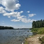 想支持你但是穷啊海报