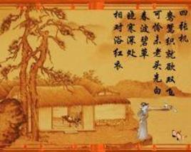 დ释怀დ主播照片
