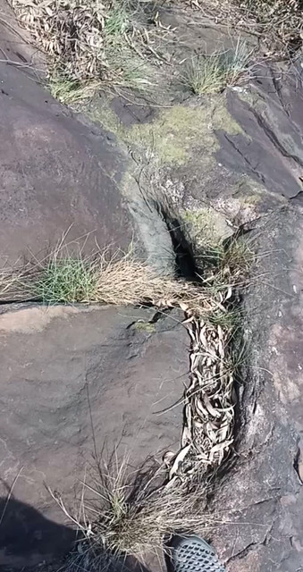 找马峰去了
