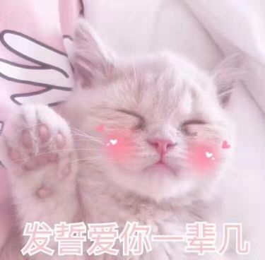 .冷啨的主播照片