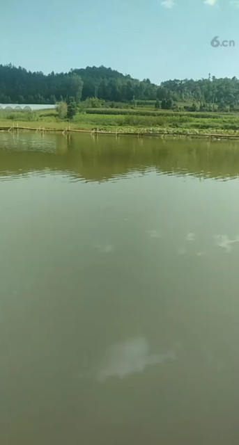 溶洞探完了开始钓鱼😉😉