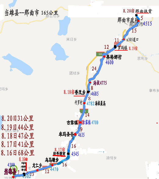 熊大楼兰甘肃宁夏内蒙的图片