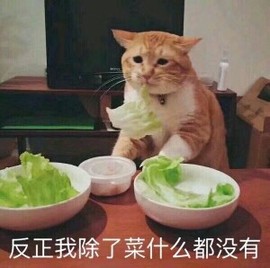 久命大老虎.主播照片