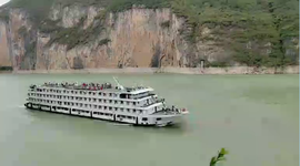 会飞的石头---哥主播照片