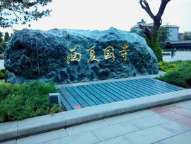 实力决定话语权主播照片