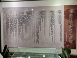 木.....禾主播照片