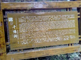 实力决定话语权主播照片