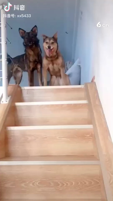 😂😂😂😂