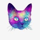 。紫眸喵星人🐱的头像