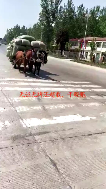无牌无证驾驶还超载。干瞪眼😂