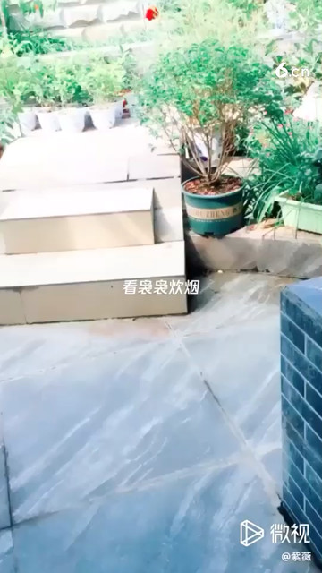 来，带大家赏我家的花儿