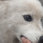 你来啊，，