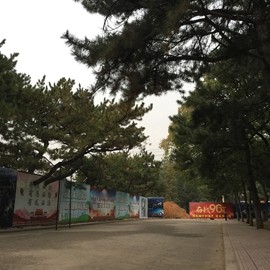 新人21😌主播照片