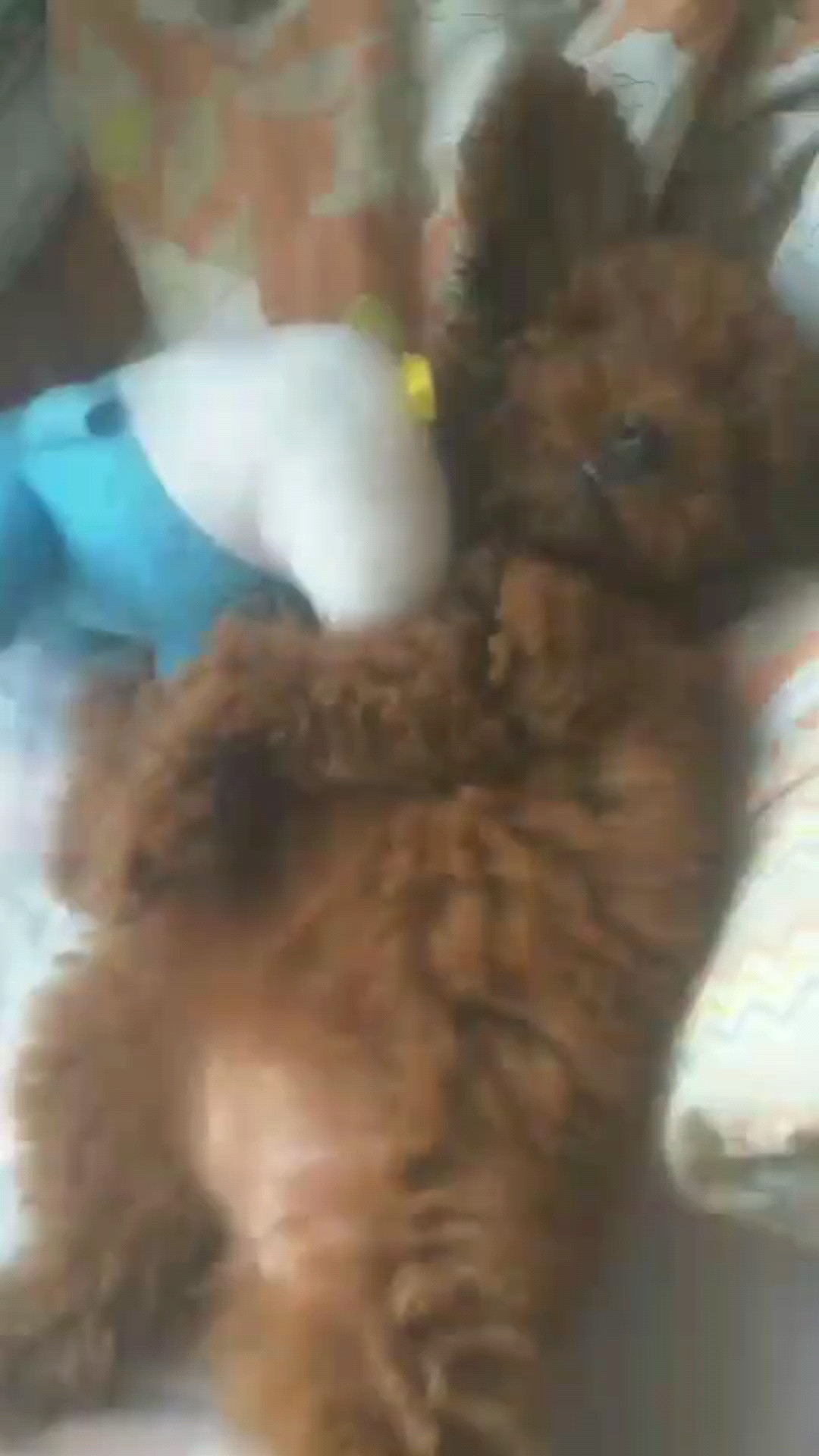 抱着玩具睡着了，是有多累