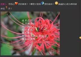 風_べ儿の微笑主播照片