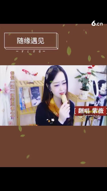随缘遇见2
