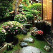开🌸开🌸开🌸