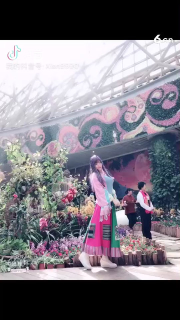 穷极一生只做一场梦、梦醒而终
