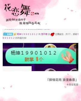 喵崽小花猫主播照片