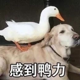 8191🎤夏小夏主播照片