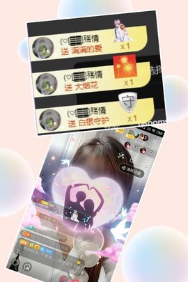 海鸽晚上见主播照片