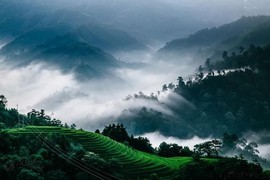 XKPNZD.主播照片