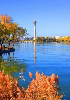 京城少爷🇨🇳敬礼主播照片