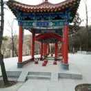 王根劳