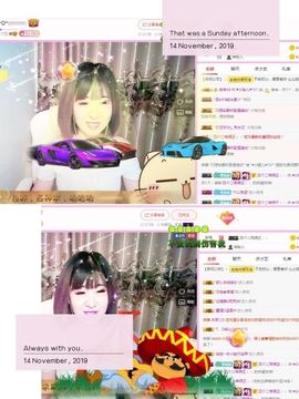 一只雁~主播照片