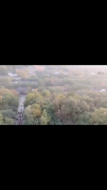 丫头上雷峰塔