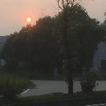wu武wu海报