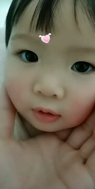 这是谁家小可爱？